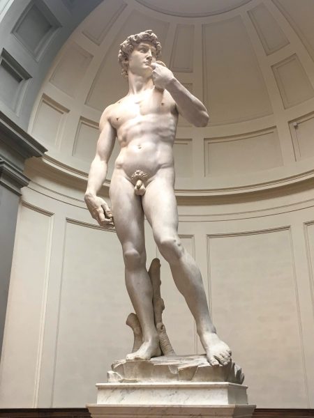 Davi de Michelangelo, na Galleria dell'Academia